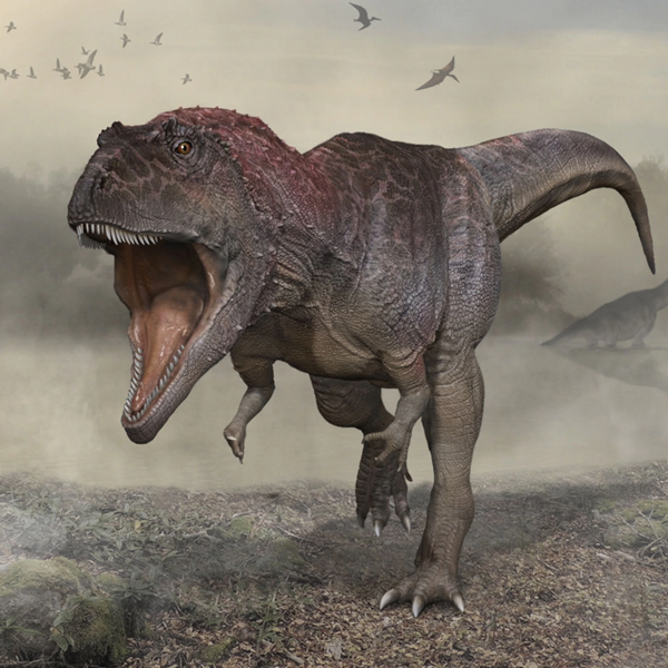 Dinosaur logo