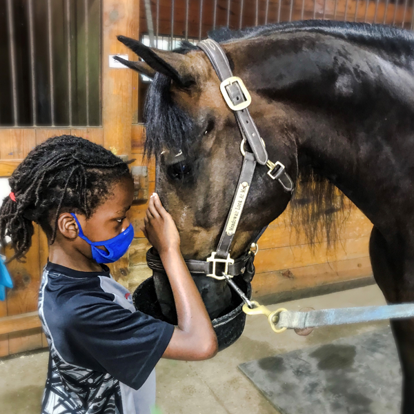 Equine therapy