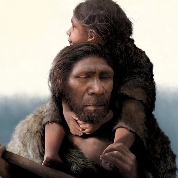 Homo sapiens