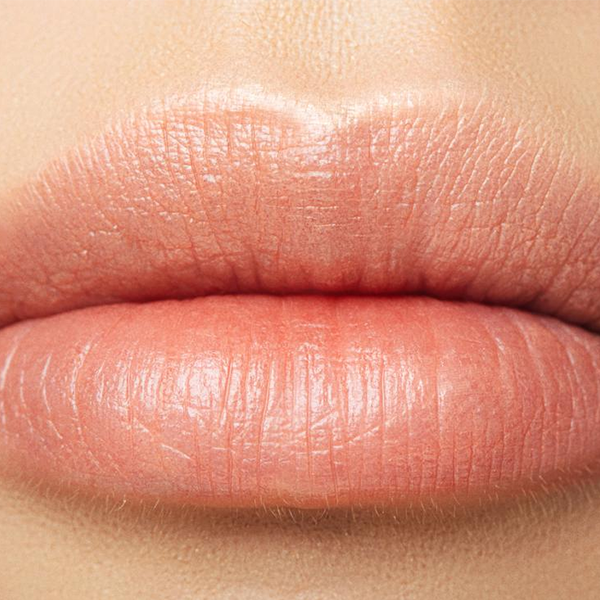 Lip