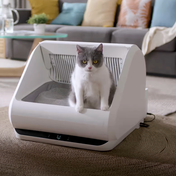 Litter box