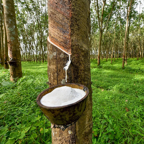 Natural rubber logo