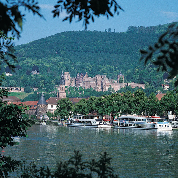 Neckar
