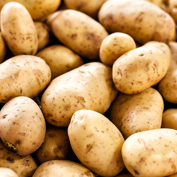 Potato