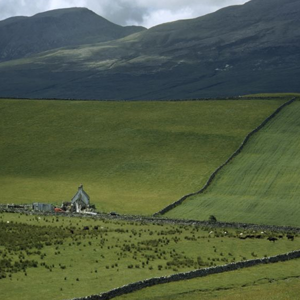 Rural area
