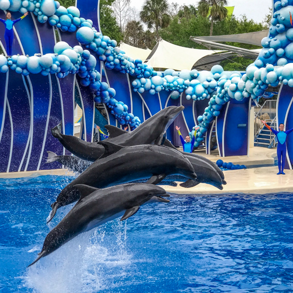 SeaWorld Orlando