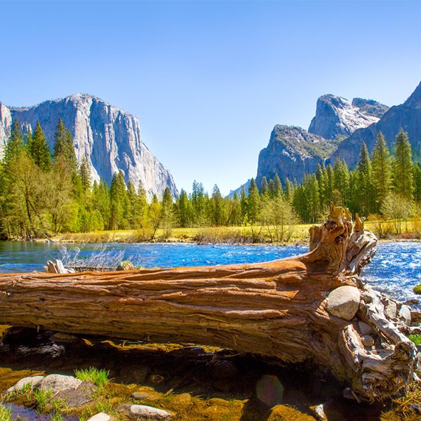 Sequoia National Park