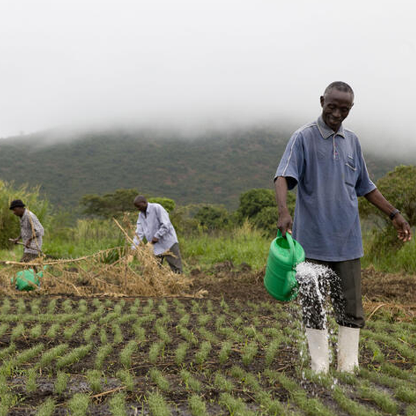 Sustainable agriculture logo