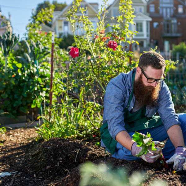 Urban horticulture logo