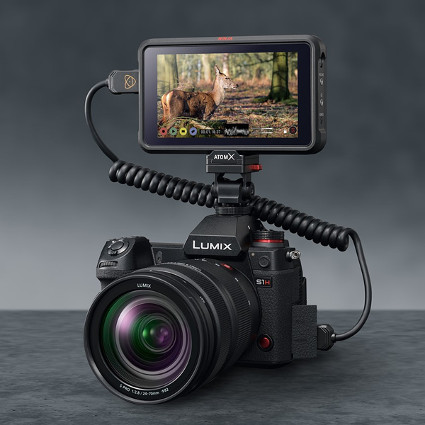 Video camera logo