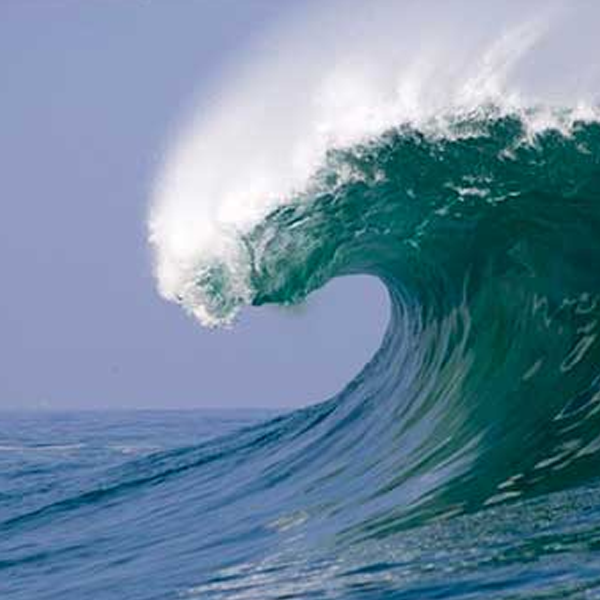 Wave logo