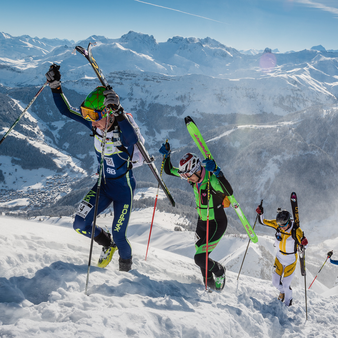 Ski mountaineering logo