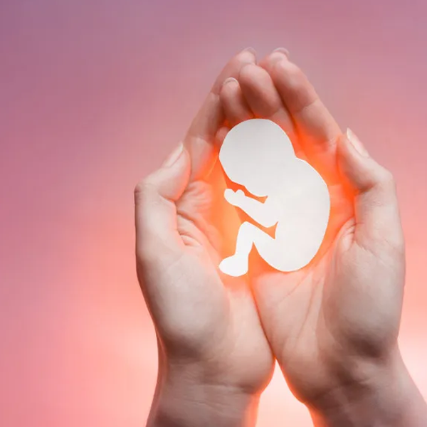Aborto logo
