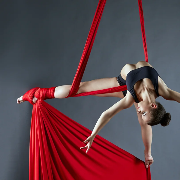 Aerial dance logo