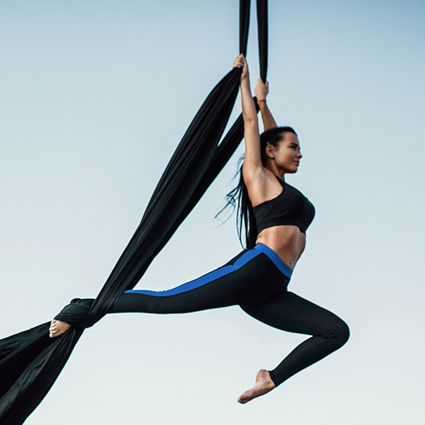 Aerial silk logo