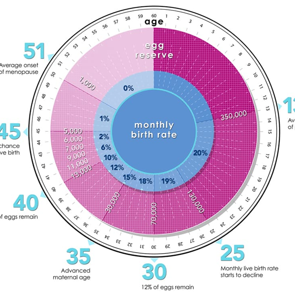 Age and female fertility logo