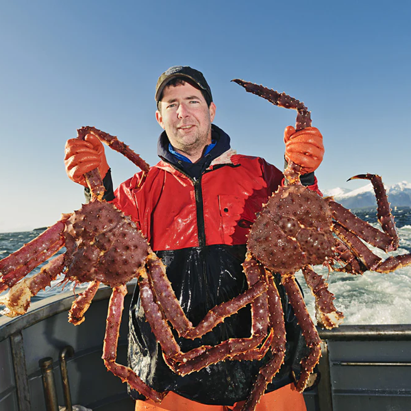 Alaskan king crab fishing logo