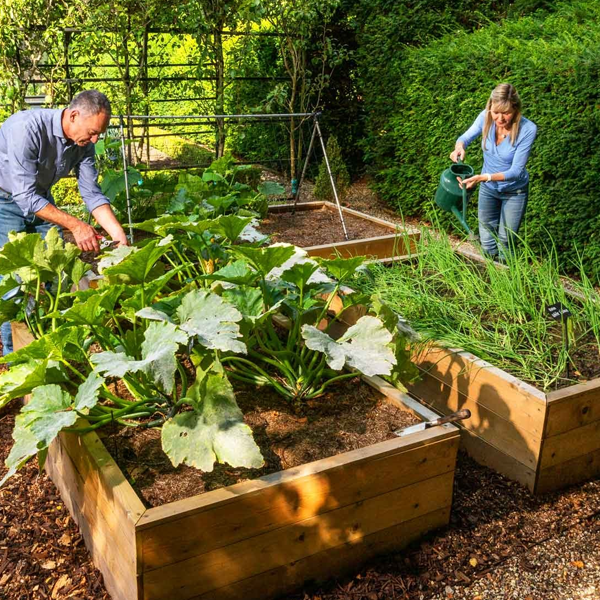 Allotment (gardening) logo
