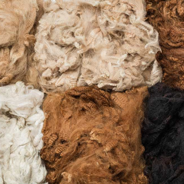 Alpaca fiber logo