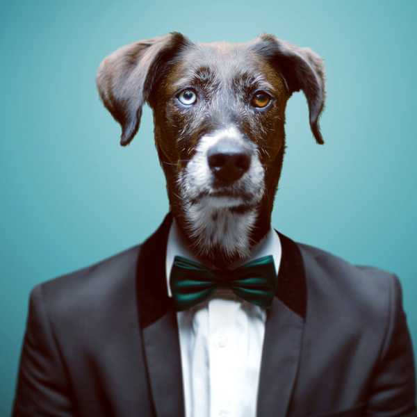 Anthropomorphism logo
