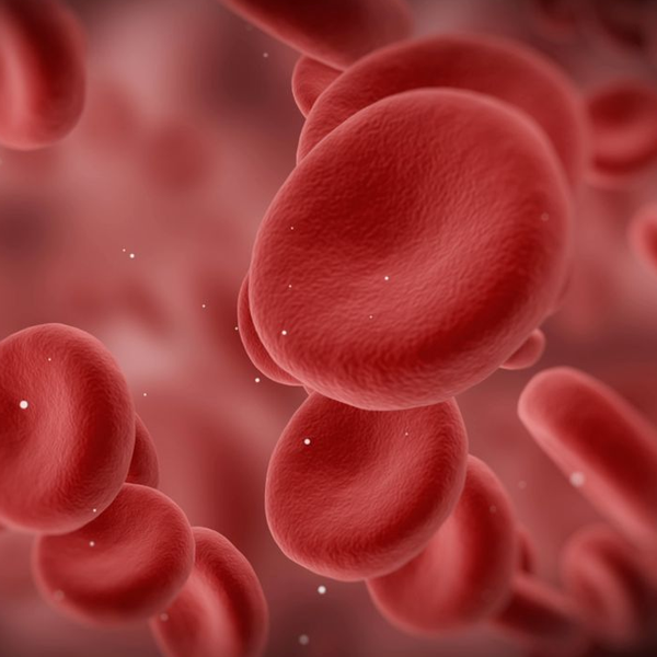 Anticoagulant logo