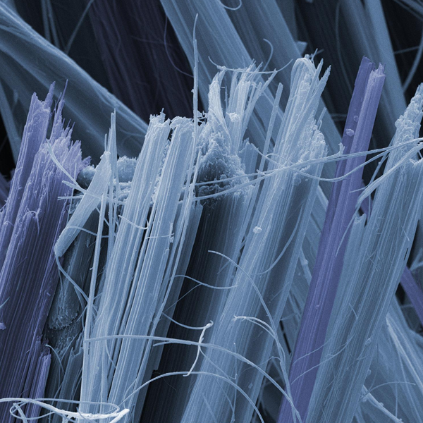 Asbestos logo