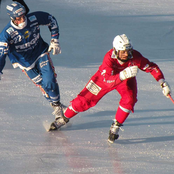 Bandy