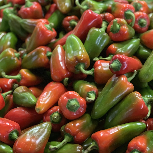 Bell pepper