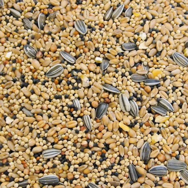 Bird food logo