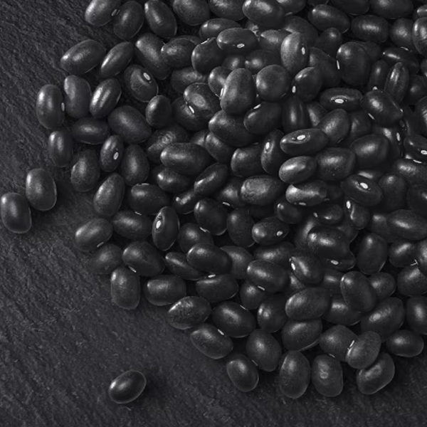 Black turtle bean logo