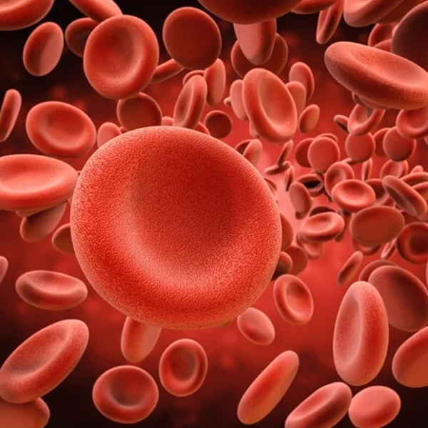 Blood cell logo