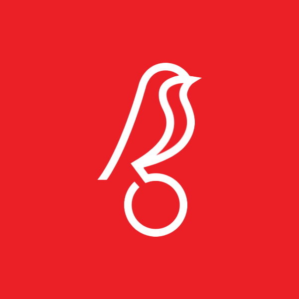 Bristol City F.C. logo