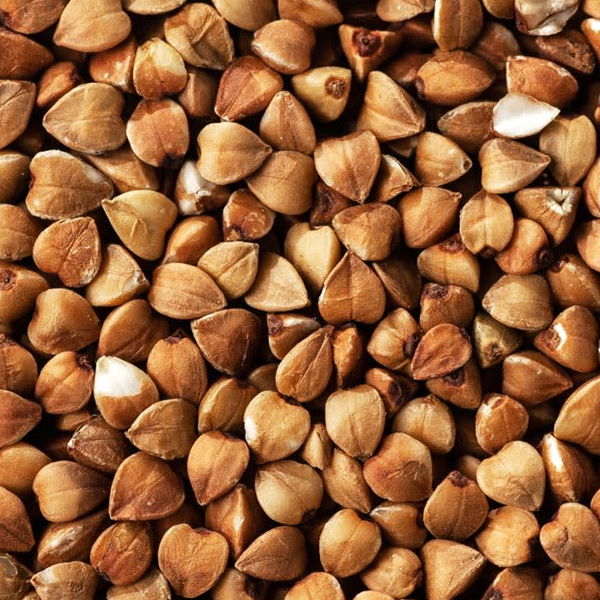Buckwheat
