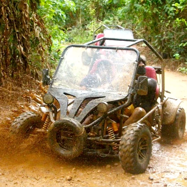 Buggy (automobile) logo
