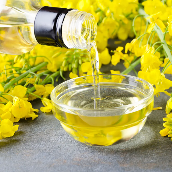 Canola
