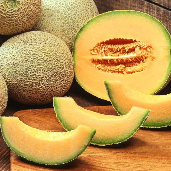 Cantaloupe