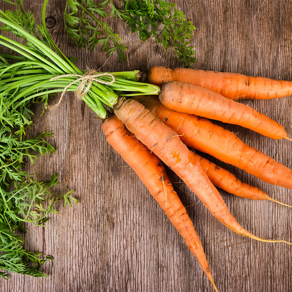 Carrot