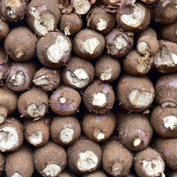 Cassava