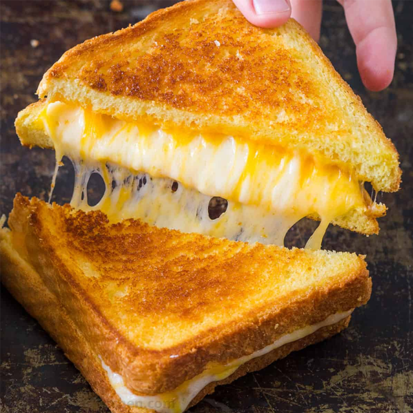 Cheese sandwich logo