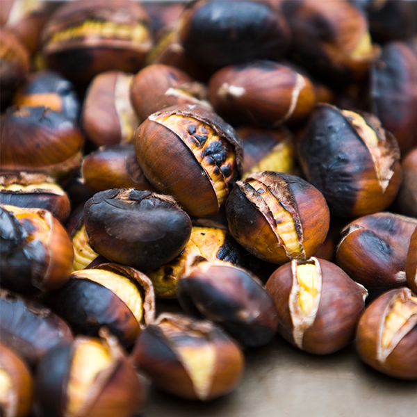 Chestnut
