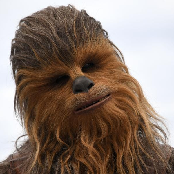 Chewbacca