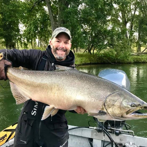 Chinook salmon logo