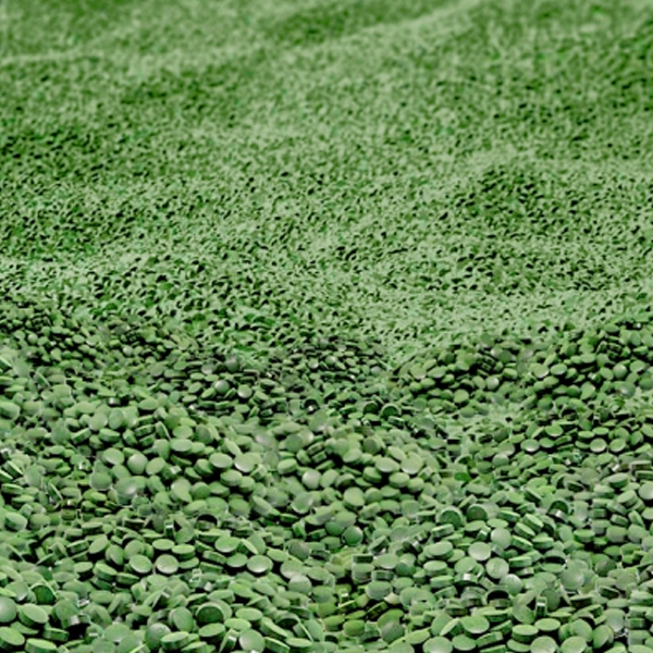 Chlorella logo