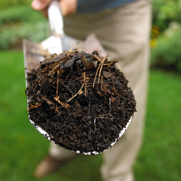 Compost logo