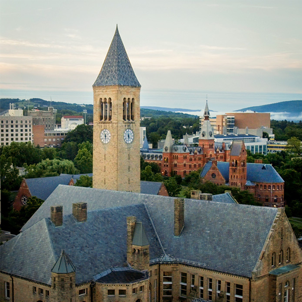 Cornell University