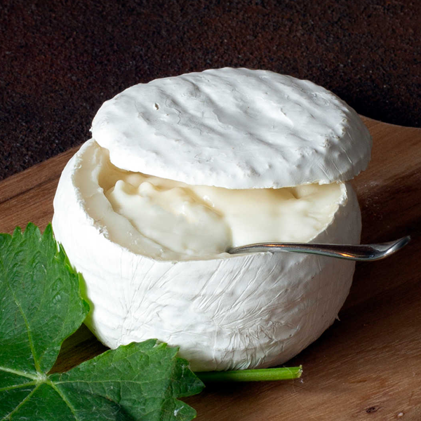 Cremoso cheese