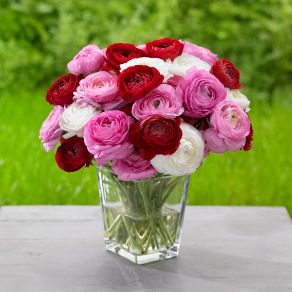 Cut flowers logo