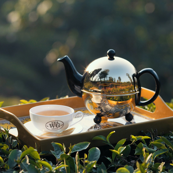 Darjeeling tea