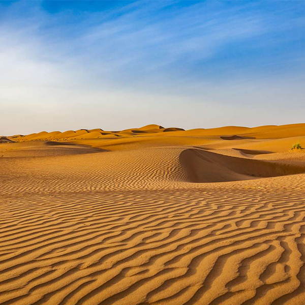 Desert logo