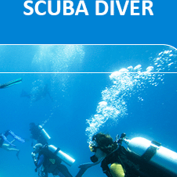 Diver certification logo